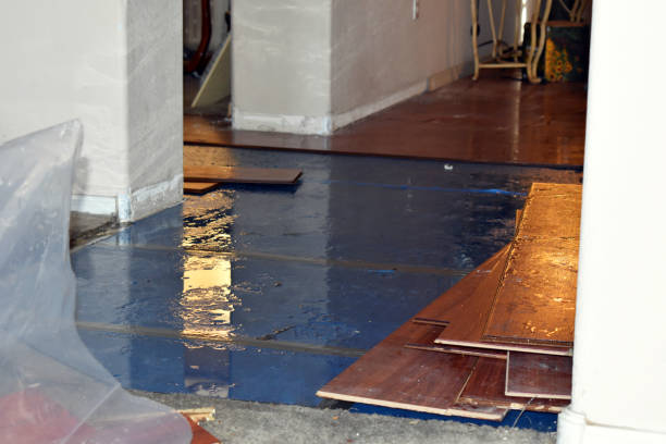 Professional Basement Flood Cleanup technician working in Genesee, ID